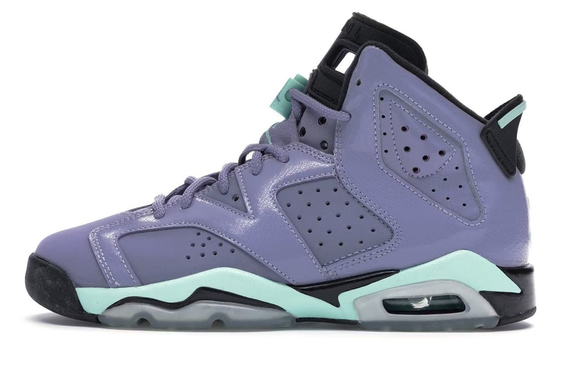 Jordan 6 Iron Purple GS