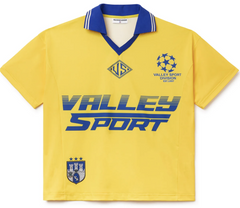 VALE RENAULT POLO