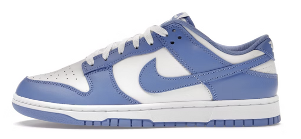 Nike Dunk Low "Polar Blue" Pre-Owned