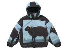 Supreme Damien Hirst Down Puffer Jacket Black