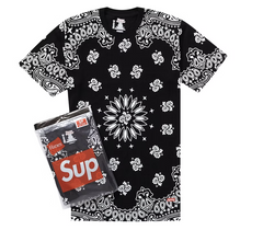 Supreme "Hanes Bandana Tagless" Black Tee